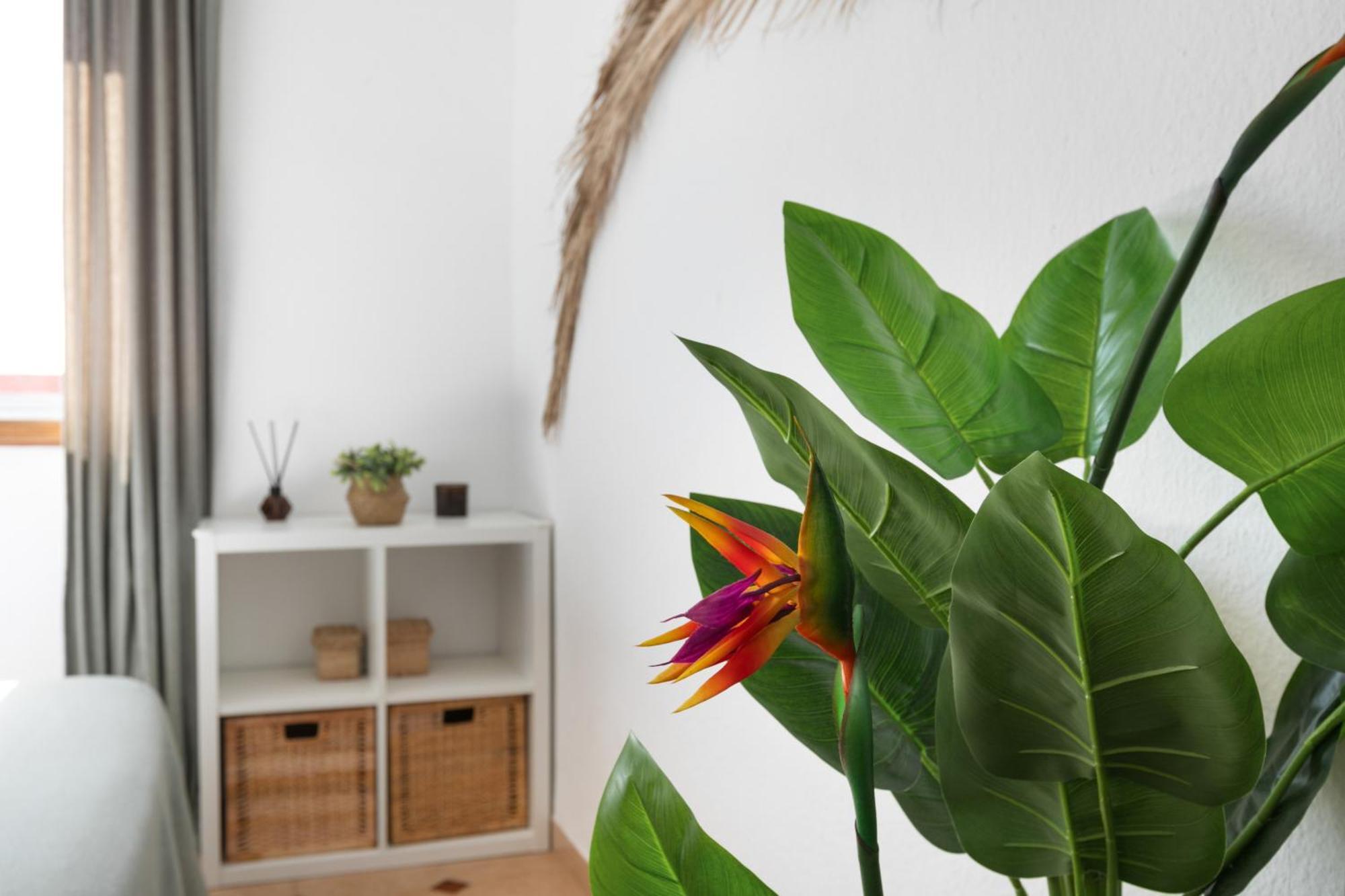 La Cuesta Casa Camachoアパートメント エクステリア 写真